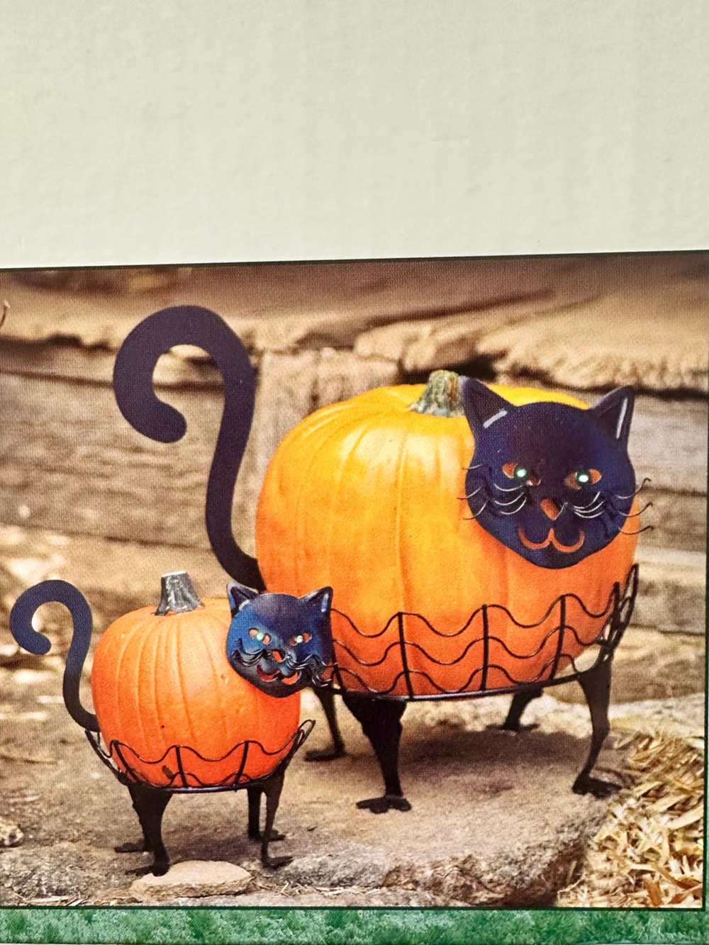 Decorative Black Cat Pumpkin Holders - Set of 2